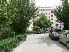 宁康小区 1室1厅 南