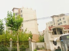 金杨 · 上海未来 · 4室 · 2厅