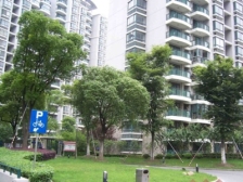 三房两卫&边套全明高区采光暖洋洋