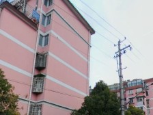 乳燕飞华屋,坐等佳客来!!!欢迎有缘人入住新家!