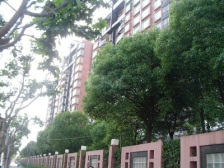 天然居三房,可看植物园,中楼层,位置好