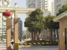 黄兴绿园4室南朝向1250.00万元/套出售