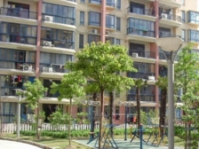 18号线700米,电梯高层,飞机户型,业主诚心出售