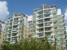 新出电梯高区一房 ·龙柏香榭苑