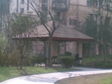 中间位置 一梯两户景观楼层 看房有钥匙 诚心出售