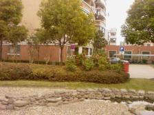 开放式厨房,大开间,品质小区,近地铁