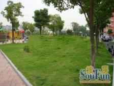 采光好 精装,拎包入住