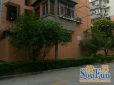 莘松绿梅好位置两房 全明户型 采光无遮挡