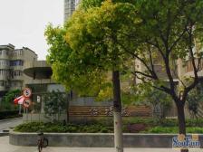 电梯两房,背靠五角场,10/18,近大润发、万达