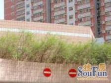 镇宁板块 近2/11号线江苏路站 开发商统一精装两房 带阳台