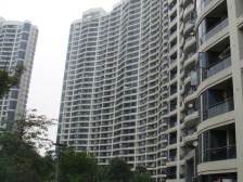 陆家嘴 三开间朝南 正对小区花园