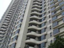 陆家嘴国际华城 小区中间 高楼层 景观好 有车位