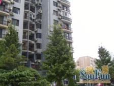 前滩旁+2002年商品房+一梯两户+满五年+采光好+诚意售