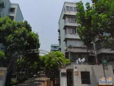 梅陇十村 一梯二户 南北通 全明户型 满五年