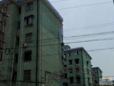 ** · 龙州小区 · 2室 · 1厅