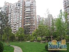 新上!送110平露台!四开间朝南!南北通透!诚售