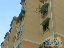 杨思前滩+中环内三房+中间楼层+拎包入住+诚意出售