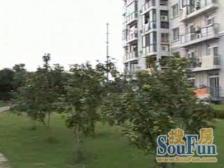 现代风豪装自住,户型正气光照两眼,落地窗颜值房
