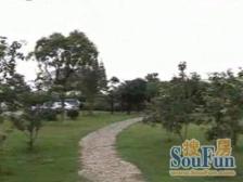 七宝·碧林湾南苑西区·1室·1厅