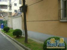 七宝经典三居室好房,店长推荐,必看好房