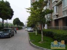 三林·金谊河畔·小区王炸户型,堪比少林功夫兄弟们冲啊