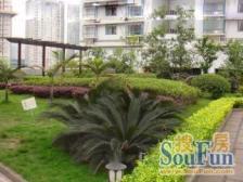 蔡家石堡 1室1厅 东南