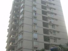 南坪后堡80街 正规一室一厅 3轻轨出行zhenggui