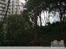 龙湖东南朝向安静三房 视野开阔 有星光 诚心出售