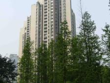 龙湖水晶郦城郎苑精装修三房视野开阔采光好