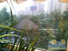 石桥铺,南方花园精装修,诚心出售,采光好