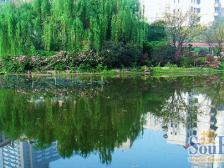 南方花园C2区业主诚心出售,房子周配套完善