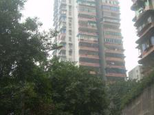 临华路 2室1厅 南