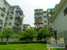 新出一房,可用新普陀+梅陇幼儿园(示范园),楼层好,装修好