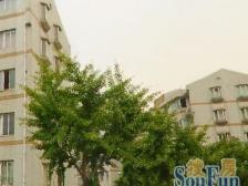 宝山八村 大A飞机户型 中低楼层 欢迎看房