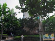 13-15号线、一楼带两个院子!近长风公园生活配套齐