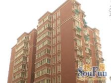 01年商品房小户型电梯环境优美外立面贴瓷砖带地下车库