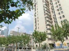 陆家嘴·东园四村·1室·1厅