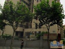 东园四村电梯大三房,精装修,南北通透,户型正气