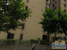 东园四村 2室1厅 南