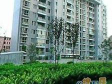 【双花园】【飞机户型】【居住安静】【采光很好】