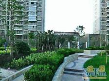 泰鸿新苑4室南朝向2000.00万元/套出售