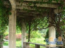 什么叫惊喜!13号线300米,低总价,户型好采光好南北