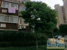 带产权车位,近地铁 电梯房 现场实勘,中心位置 业主诚意