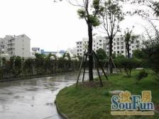 四院旁+小高层+边套电梯一房一厅+总价低