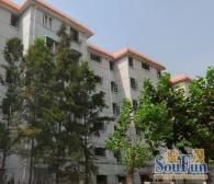 金菊两房 高楼层 视野采光好无遮挡 近西郊百联