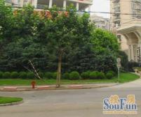 金桥 · 金桥都市花园 · 1室 · 0厅