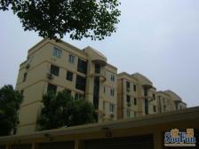 七宝·富丽公寓东区·4室·2厅