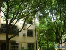 七宝·富丽公寓东区·4室·1厅