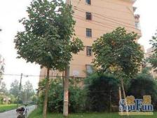 刚需上车,小区中心位置,采光楼层,必看好房