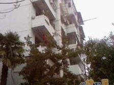 绿园小区2室东朝向290.00万元/套出售